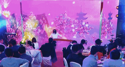 PALYER1.8M.gif PALYER1.8M.gif